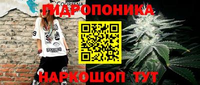 кокс Кимры