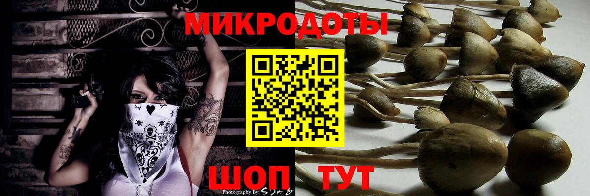 Псилоцибиновые грибы Psilocybine cubensis  Вход с VPN  Усолье-Сибирское 